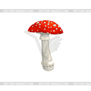 Mushroom fly agaric icon, cartoon amanita - vector image