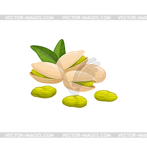 Open pistachio nut in hard shell pistache - vector clipart