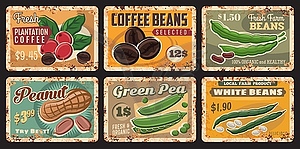 Bean, peanut, coffee and green pea tin signs - vector EPS clipart