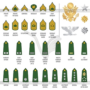 Military ranks shoulder badge, army soldier straps - royalty-free vector image