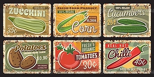 Organic farm fresh vegetables rusty metal plate - vector image