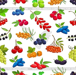 Garden, fores berries seamless pattern background - vector image