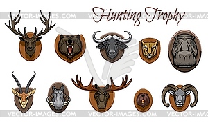 Hunting trophies, hunted animal heads on wall - vector clipart