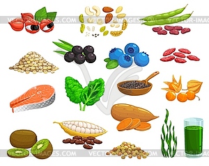 Superfoods products, healthy food seeds and fruits - vector clip art