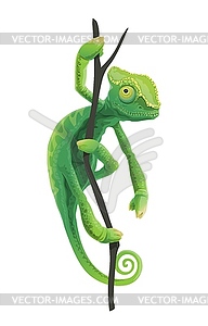 Cute green chameleon siting on tree - stock vector clipart
