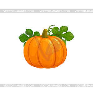 Pumpkin icon - vector clipart