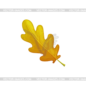 Autumn oak leaf icon, cartoon fall foliage - vector clip art