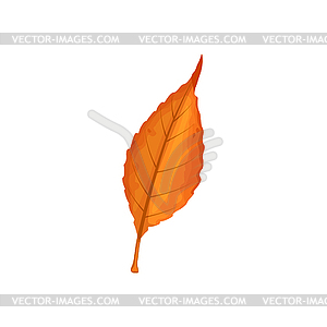 Autumn leaf icon, cartoon fallen foliage - vector clipart