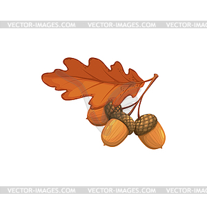 Oak leaf with acorns, autumn or fall icon - vector clip art