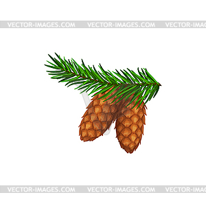 pine cone clipart