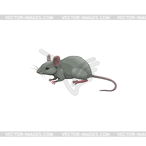 Mouse icon, pest control, rodents extermination - vector clipart / vector image