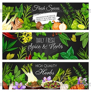 Fresh herbs, spices and seasonings banners - vector clip art