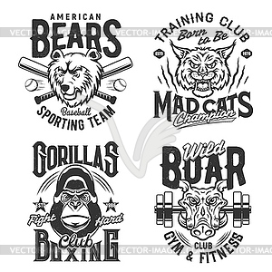 Sport gym and fitness club t shirt prints, quotes - vector image