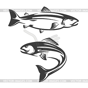 Salmon fish icon of seafood or sea fishing sport - vector clipart