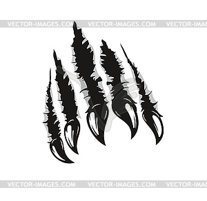 Grizzly bear claw marks, wild animal paw scratches - vector clip art