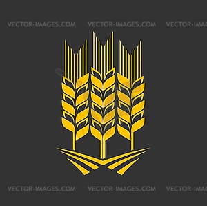 Cereal ear, wheat, rye or barley graphic icon - vector image