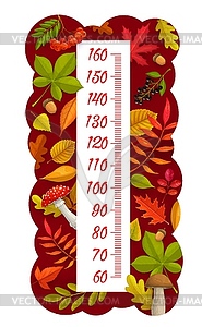 Kids height chart, autumn leaves, berry, mushroom - vector image