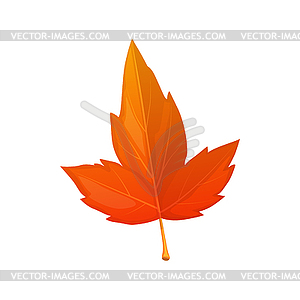 Leaf, autumn tree fall foliage hawthorn, sycamore - vector clip art