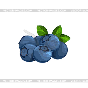 Blueberry heap with green leaves, wild berries - vector clipart