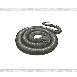 Snake icon, pest control extermination service - white & black vector clipart