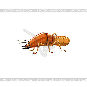 Termite icon, pest control insects disinsection - vector clipart