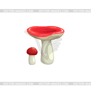 Mushroom russula icon. Cartoon autumn plant - vector image