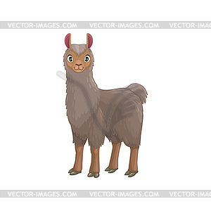 Grey lama guanaco alpaca llama cartoon animal icon - color vector clipart