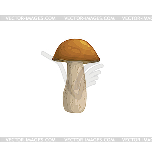 Mushroom icon, autumn fall harvest, forest boletus - vector clip art