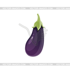 Eggplant fresh vegetable cartoon plant - vector image