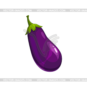 Eggplant fresh vegetable cartoon plant - vector clip art