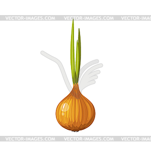 Fresh onion vegetable garden plant culture - royalty-free vector clipart