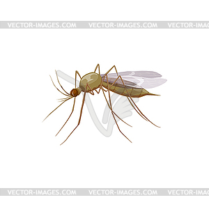 Mosquito icon, insect parasite and pest control - vector image