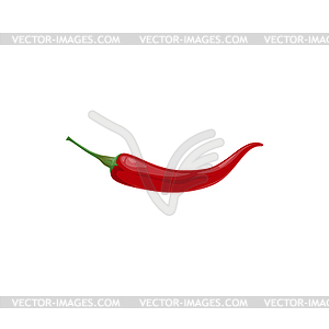 Chili pepper red hot chilli vegetable plant - vector clip art