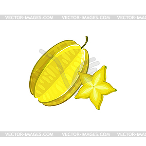 Carambola star fruit, whole and slice piece - vector clip art