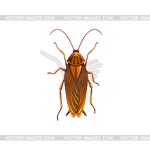 Cockroach icon, insect parasite and pest control - vector image