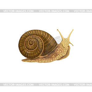 Snail icon, pest control agrarian extermination - vector clipart / vector image
