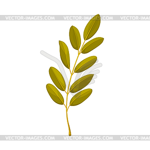 Rowan tree leaf cartoon icon - vector image