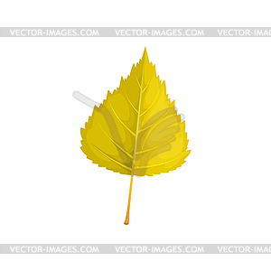 Autumn birch leaf icon, cartoon foliage - vector clipart