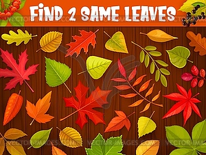 Kids maze game, find two same autumnal leaves - vector image