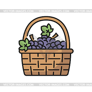 Purple grapes bunches in wicker basket - royalty-free vector clipart