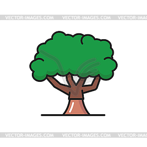 Oak or olive tree with broad trunk, green crown - vector clipart