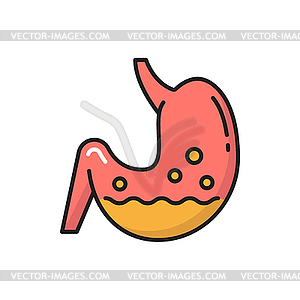 Флора желудка, брюшная полость и пищеварительная система, тракт - векторное графическое изображение