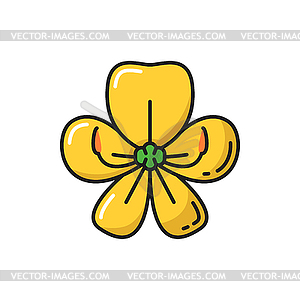 Кассия фистула национальный цветок Таиланда изолировать - иллюстрация в векторе