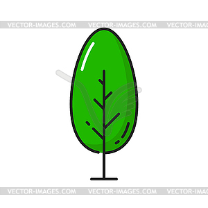 Forest and garden decor element, green exotic tree - vector clipart