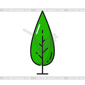 Green leaves on tree, spring summer outline plant - vector image