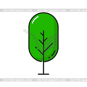 Зеленое экзотическое дерево, лес и декор сада - векторное изображение EPS
