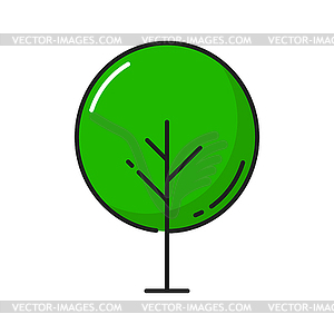 Green tree with round crown outline forest or park - vector image