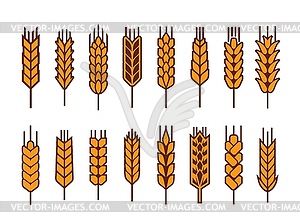 Cereal ear or spike of wheat, barley millet icons - vector image