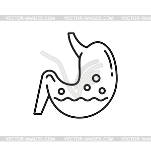 Human stomach with lactobacillus probiotics linear - vector clip art