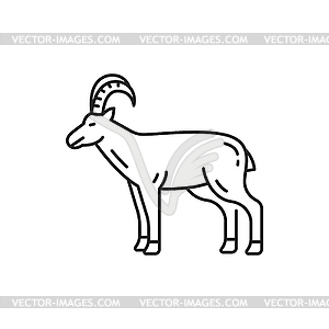 Goat domestic animal livestock mammal - vector clipart